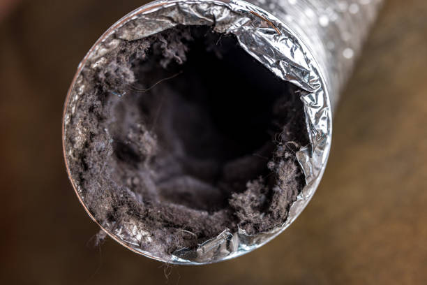 Best Air Duct Sanitizing Services  in Kaumakani, HI